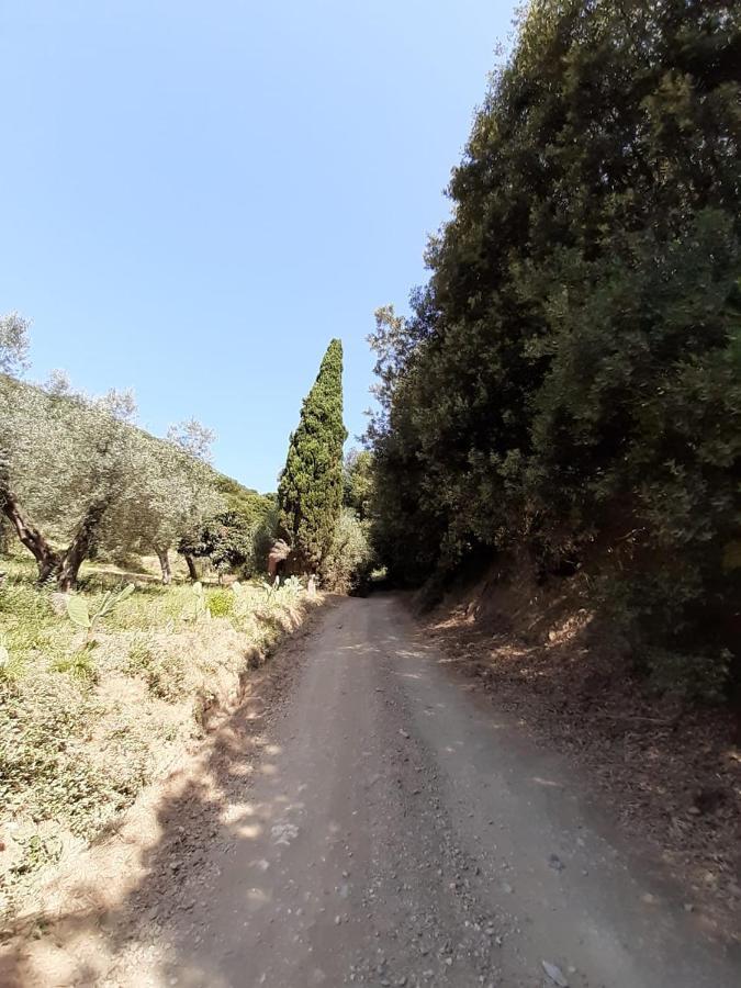 Apartmán Podere Barlo Campiglia Marittima Exteriér fotografie