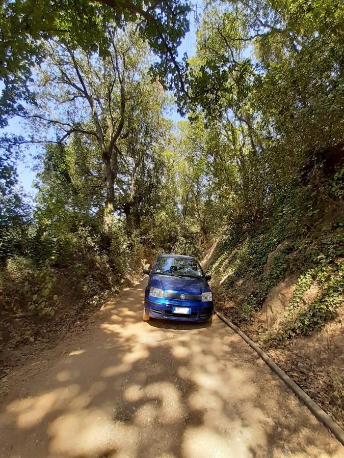 Apartmán Podere Barlo Campiglia Marittima Exteriér fotografie