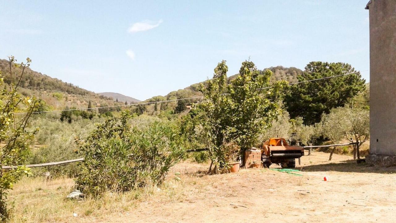 Apartmán Podere Barlo Campiglia Marittima Exteriér fotografie