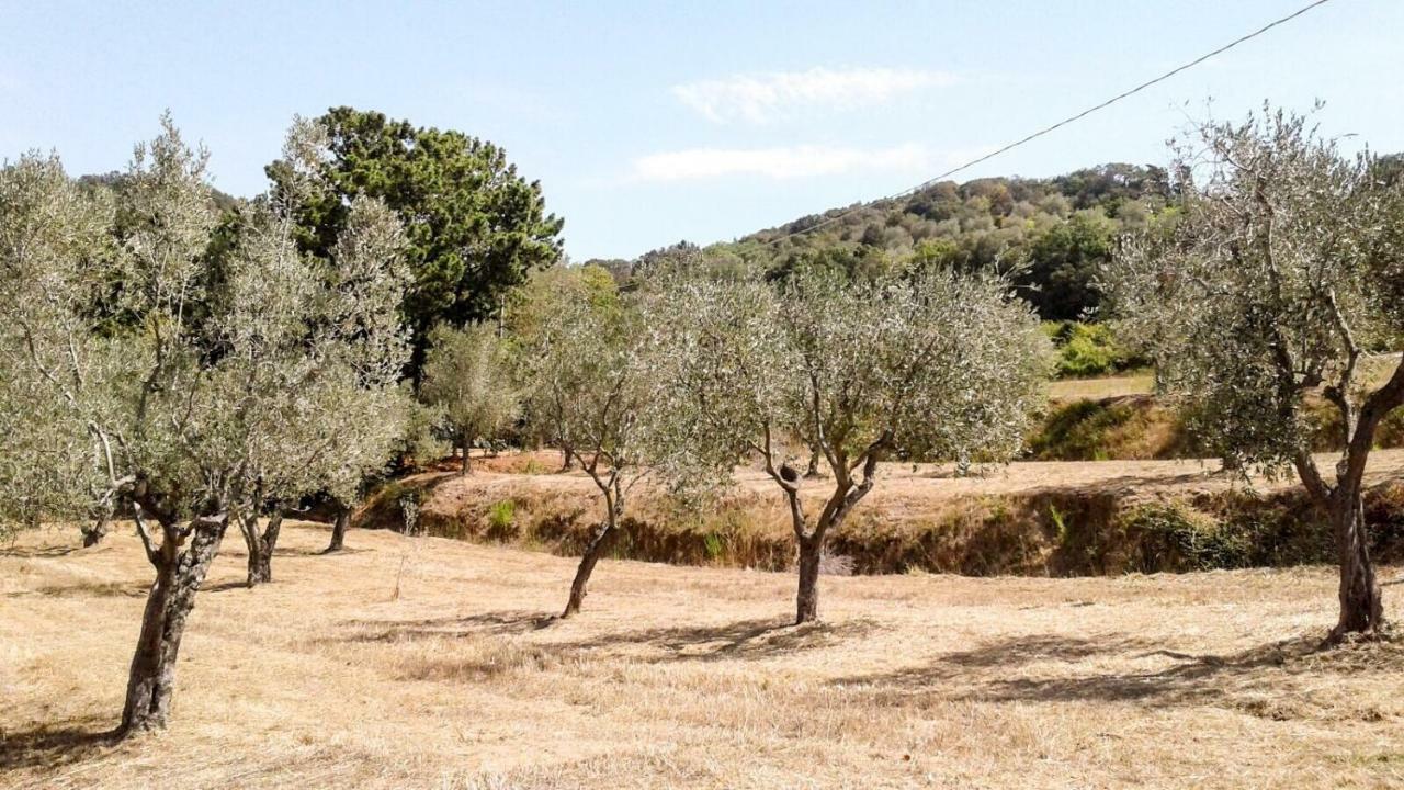 Apartmán Podere Barlo Campiglia Marittima Exteriér fotografie