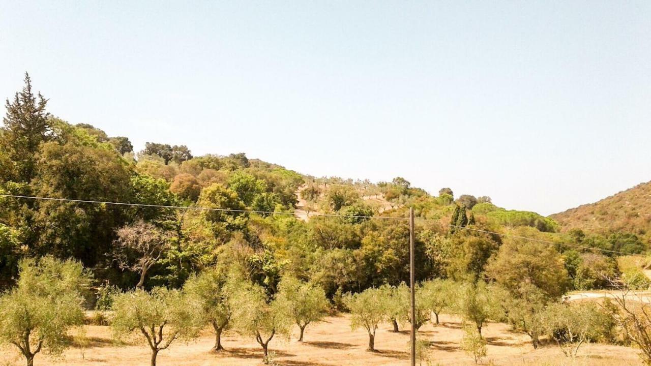 Apartmán Podere Barlo Campiglia Marittima Exteriér fotografie