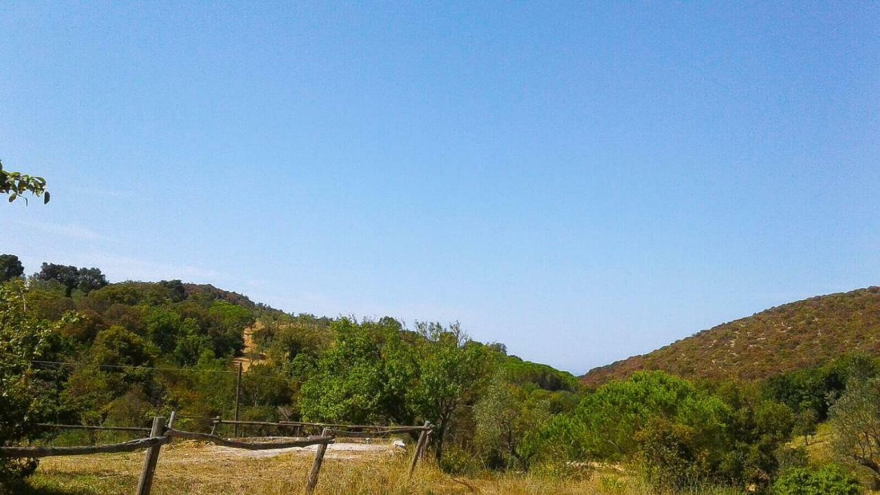 Apartmán Podere Barlo Campiglia Marittima Exteriér fotografie