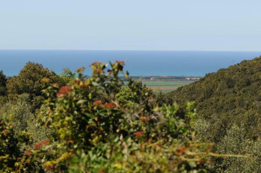 Apartmán Podere Barlo Campiglia Marittima Exteriér fotografie