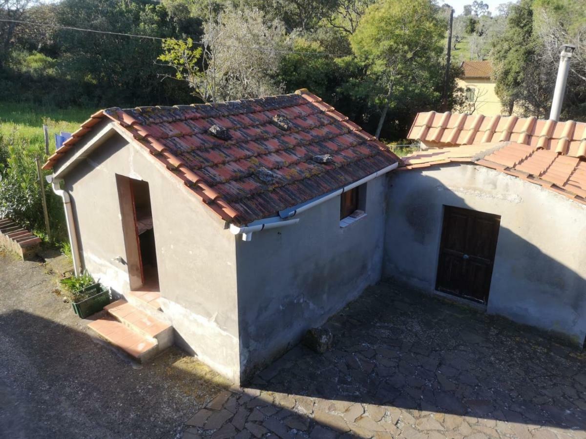 Apartmán Podere Barlo Campiglia Marittima Exteriér fotografie