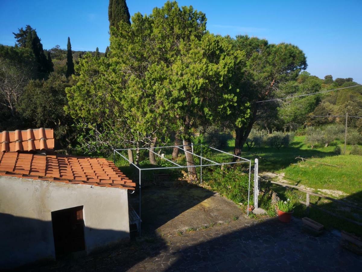 Apartmán Podere Barlo Campiglia Marittima Exteriér fotografie